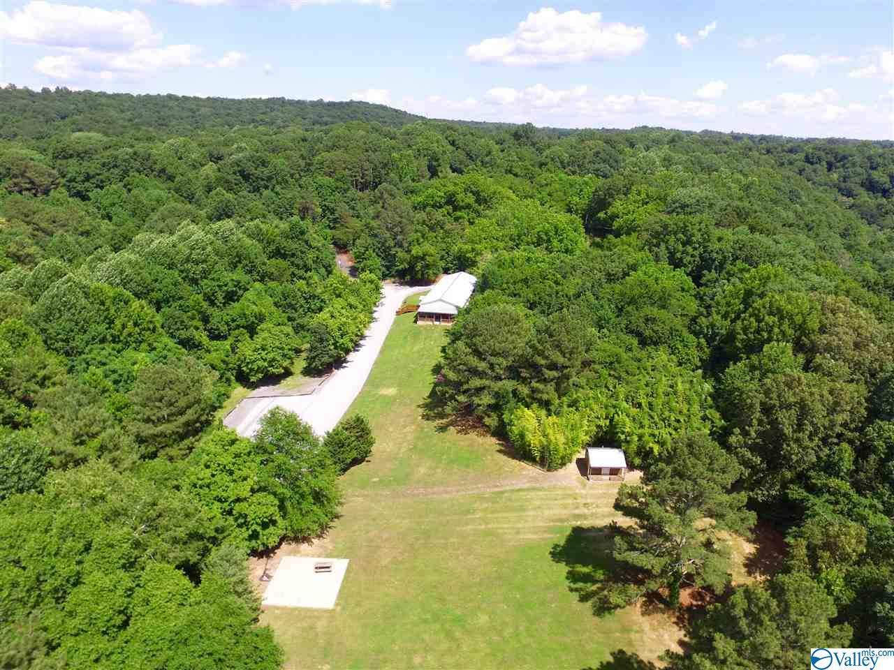 695 Light Gap Rd - Photo 1