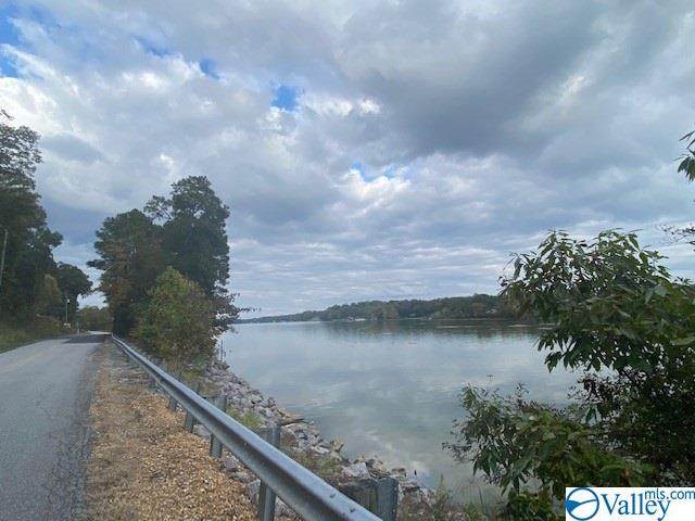 0 Lister Ferry Road - Photo 1
