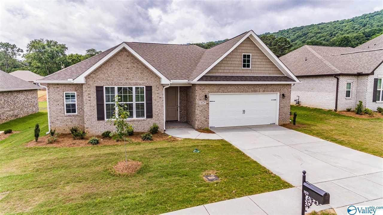 3029 Crystal Creek Drive - Photo 1