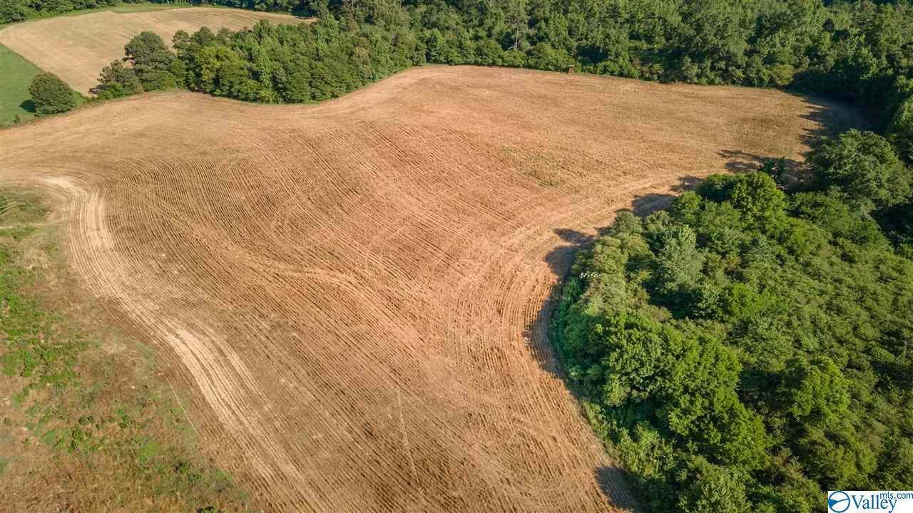 0 County Road 175 - Photo 1