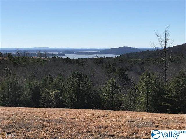 Lot 225 County Road 767 - Photo 1