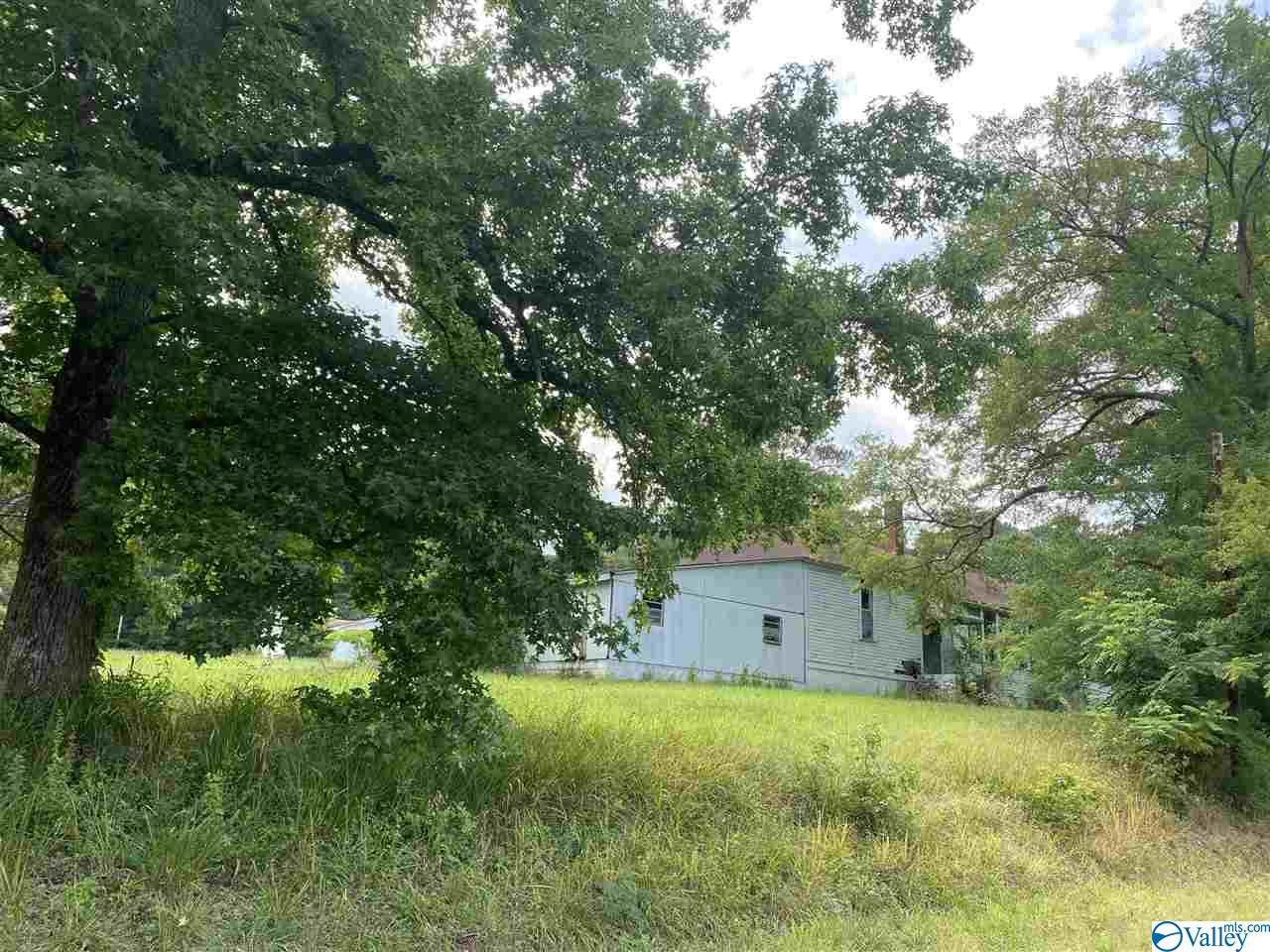 000 County Road 42 - Photo 1