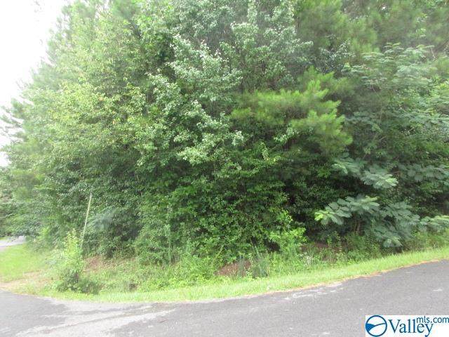 0 Sherri Way - Photo 1