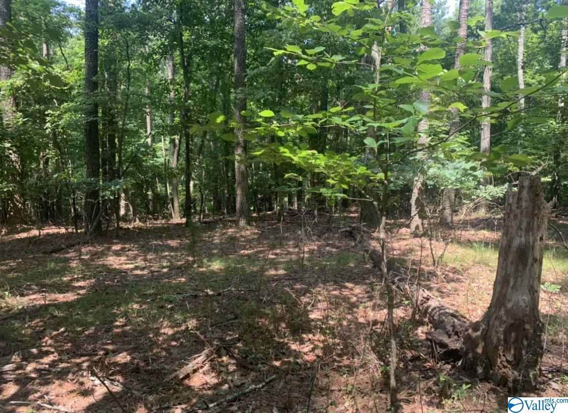 13300 South Village Square Road - Photo 1