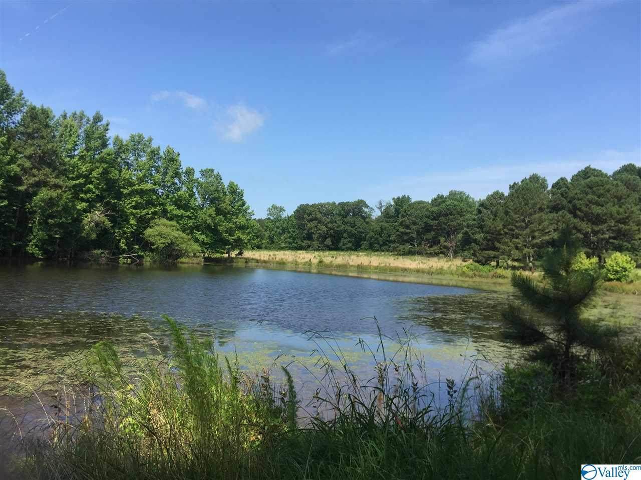 8575 Highway 278 - Photo 1