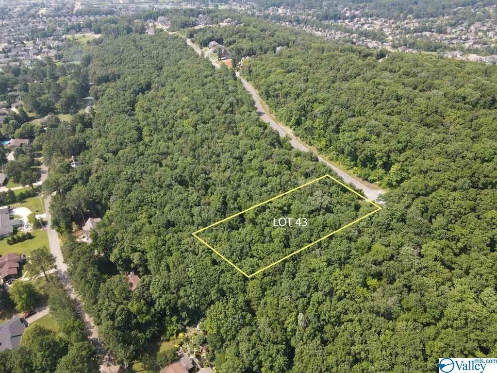 7015 Ridge Crest Road - Photo 1