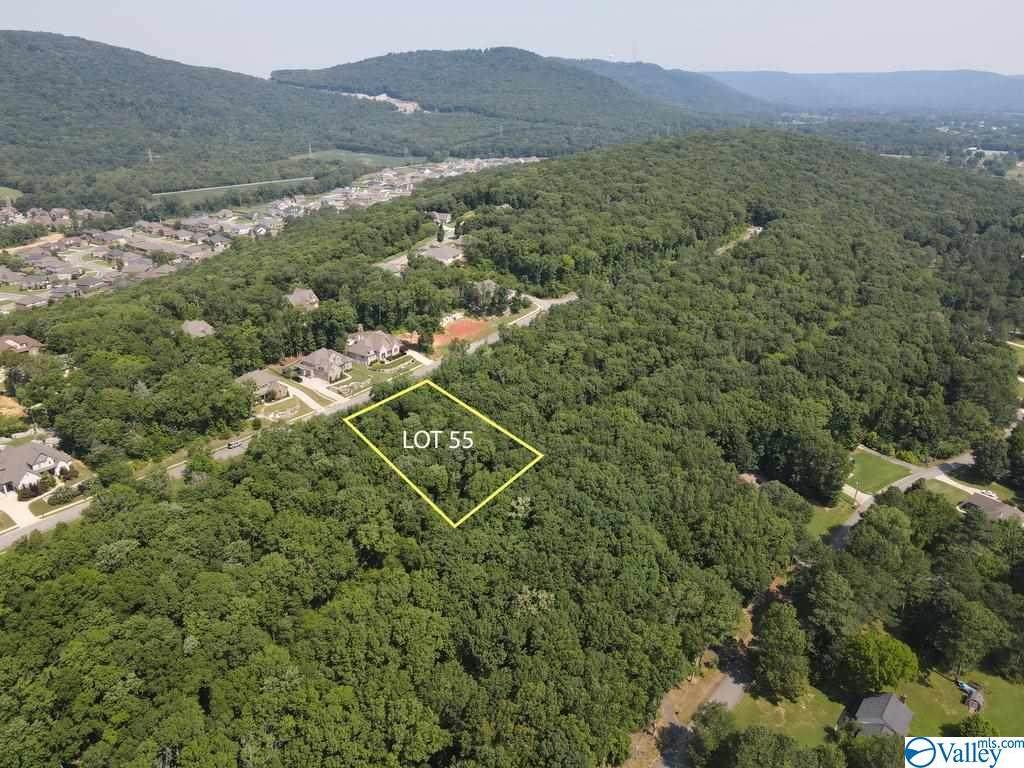 7039 Ridge Crest Road - Photo 1