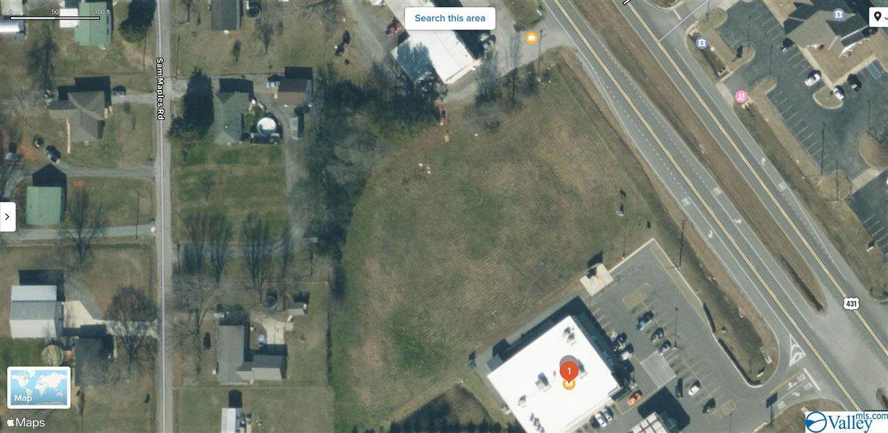 10180 Hwy 431 - Photo 1