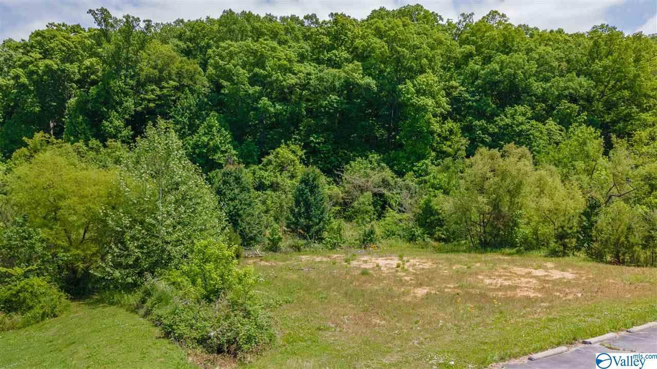 0 Glenn Boulevard - Photo 1