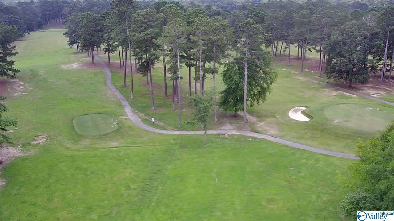 Lot 10 County Road 380 - Photo 1