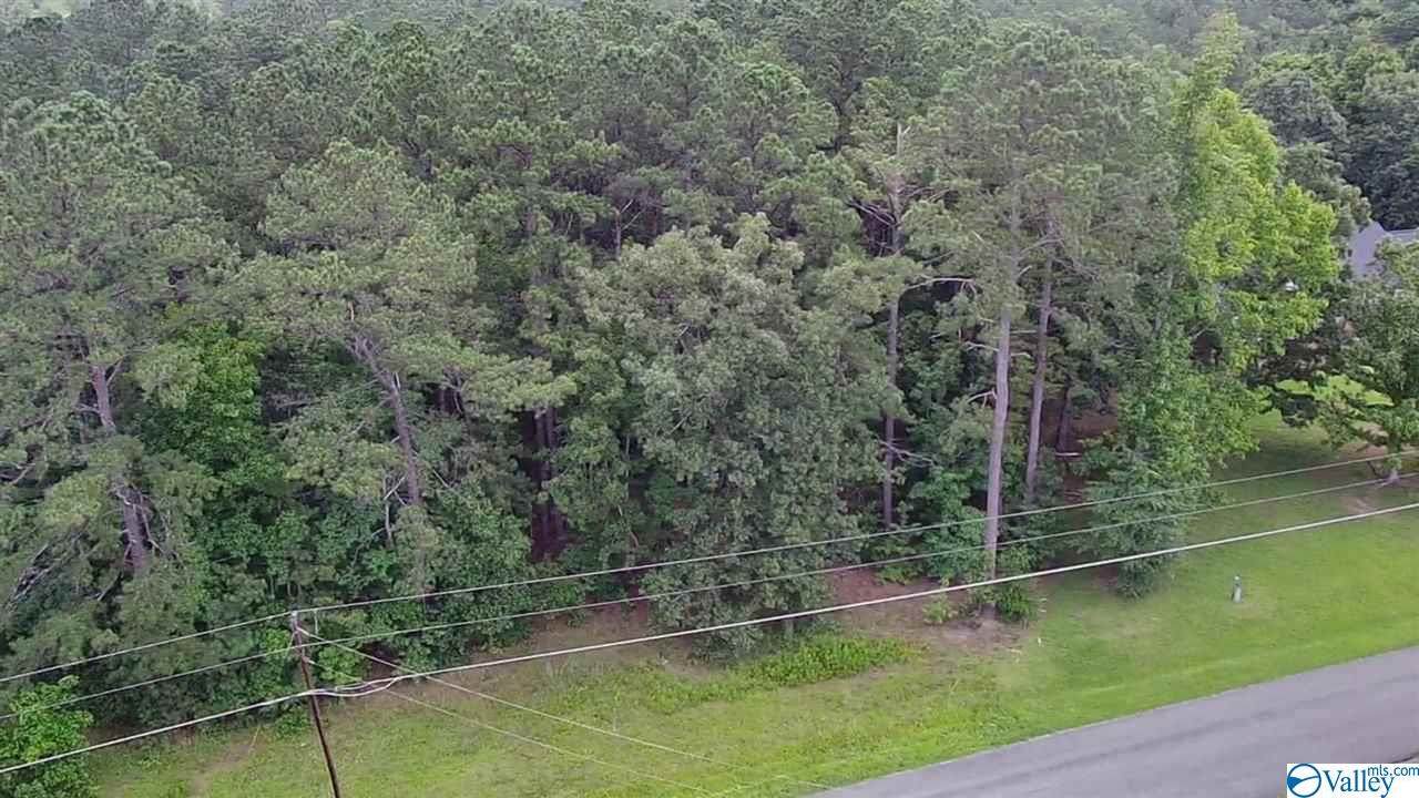 Lot 9 County Road 380 - Photo 1