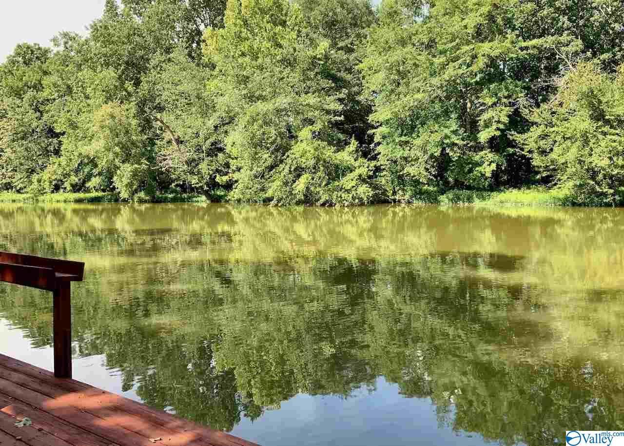 64/65 County Road 1029 - Photo 1