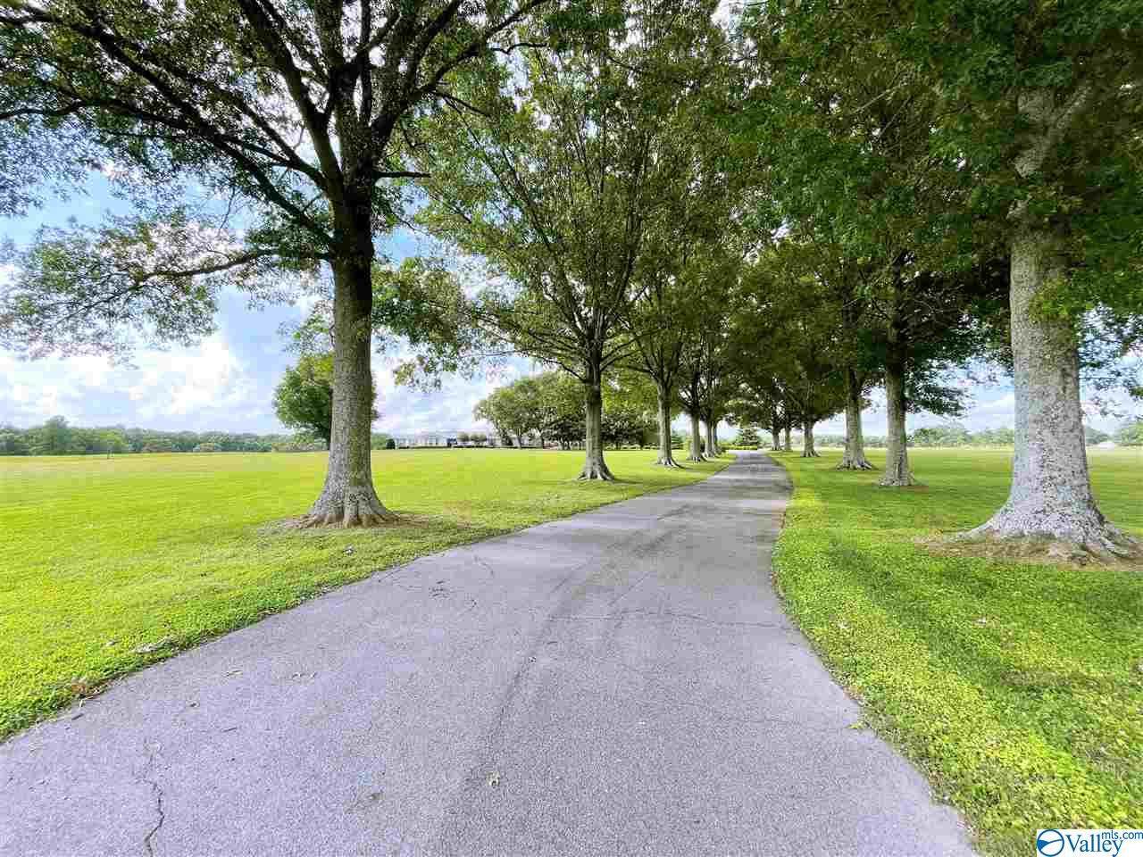 2140 Cullman Road - Photo 1