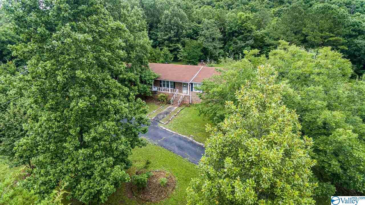 1239 Mcmullen Road - Photo 1