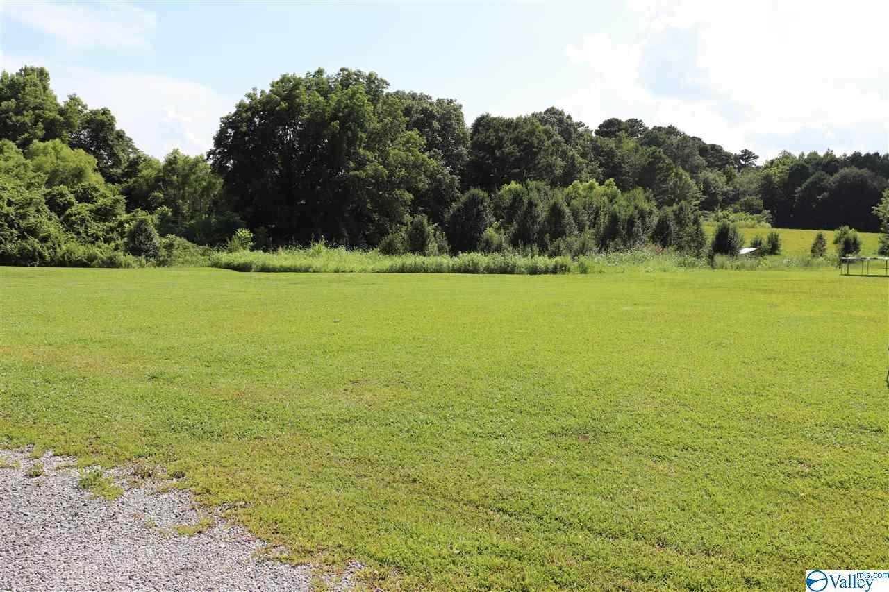 Lot 3 Mardi Gras Estates - Photo 1