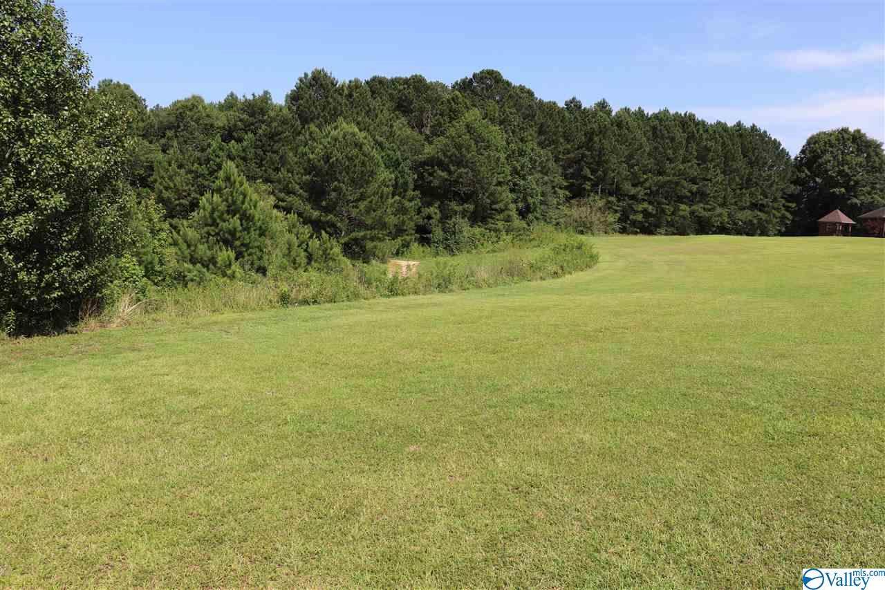Lot 5 & 6 Mardi Gras Estates - Photo 1