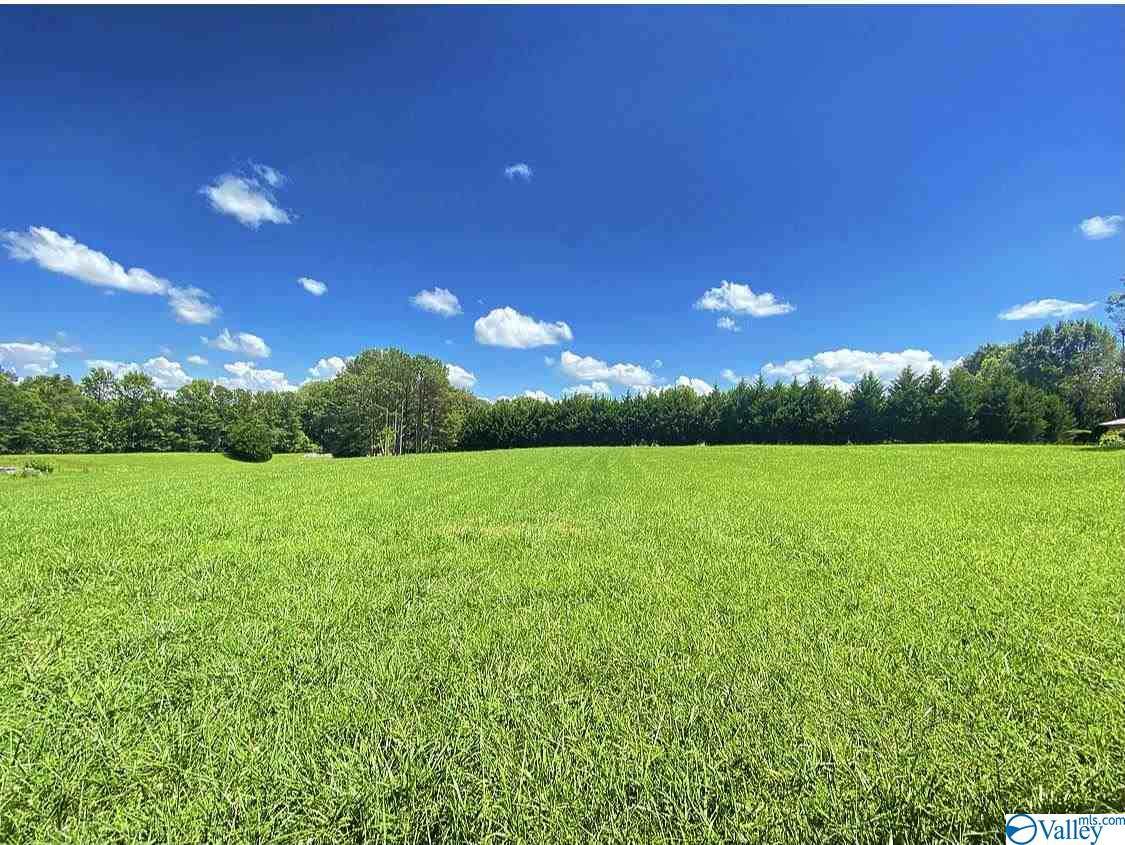 0 Al Hwy 69 - Photo 1