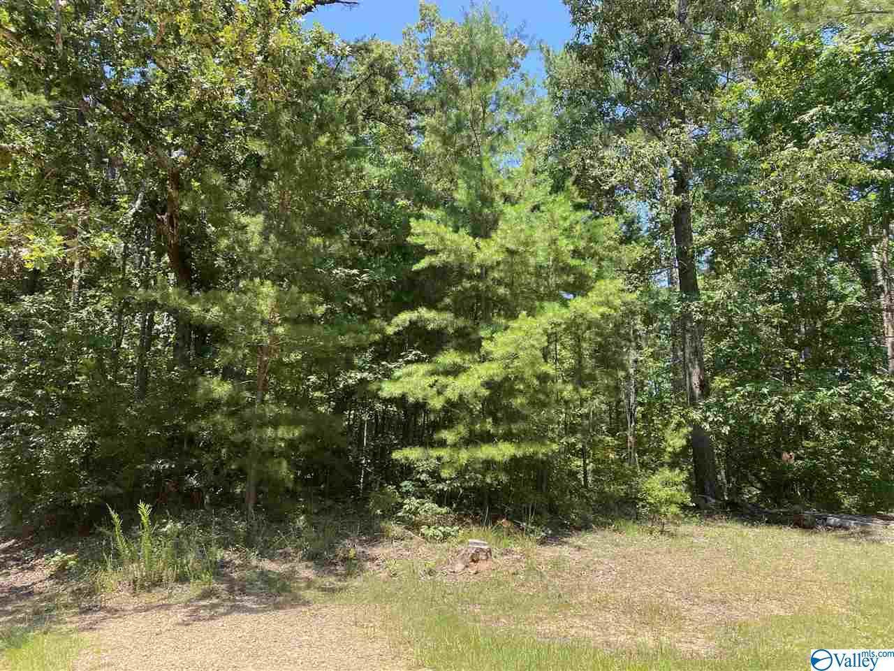 Lot 8 County Road 387 - Photo 1