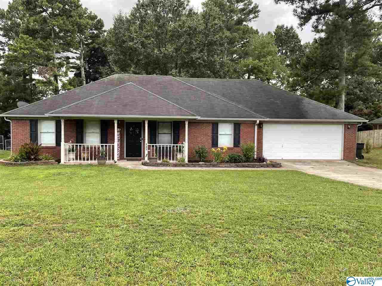 237 Amber Lane - Photo 1
