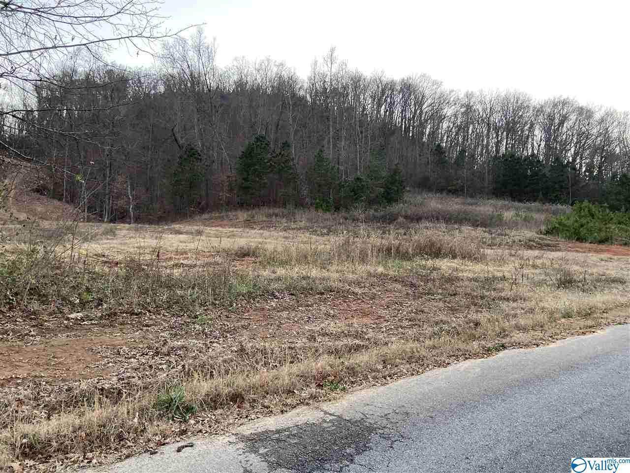 Lot 1 Rocky Branch Road - Photo 1