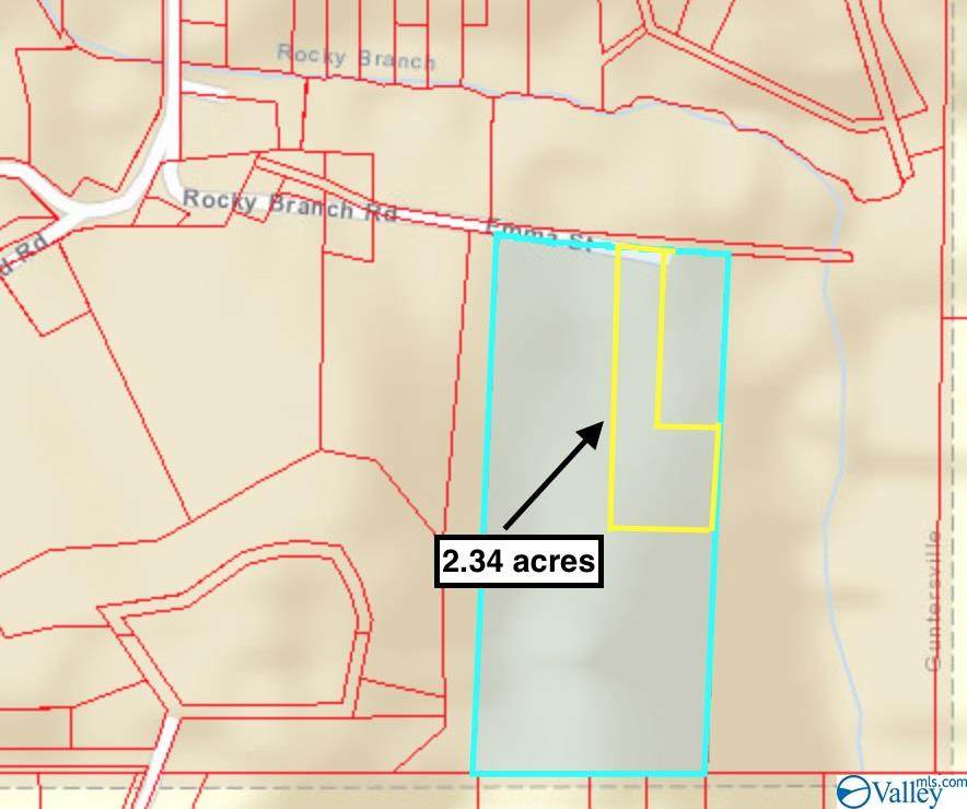 Lot 3 Rocky Branch Road - Photo 1