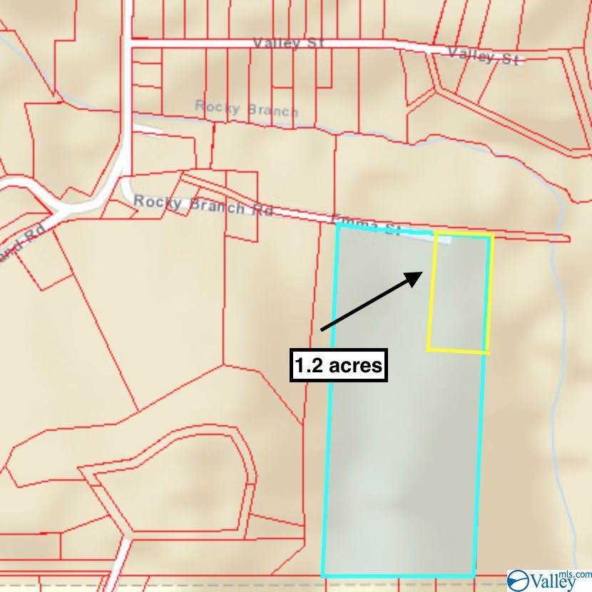 Lot 4 Rocky Branch Road - Photo 1