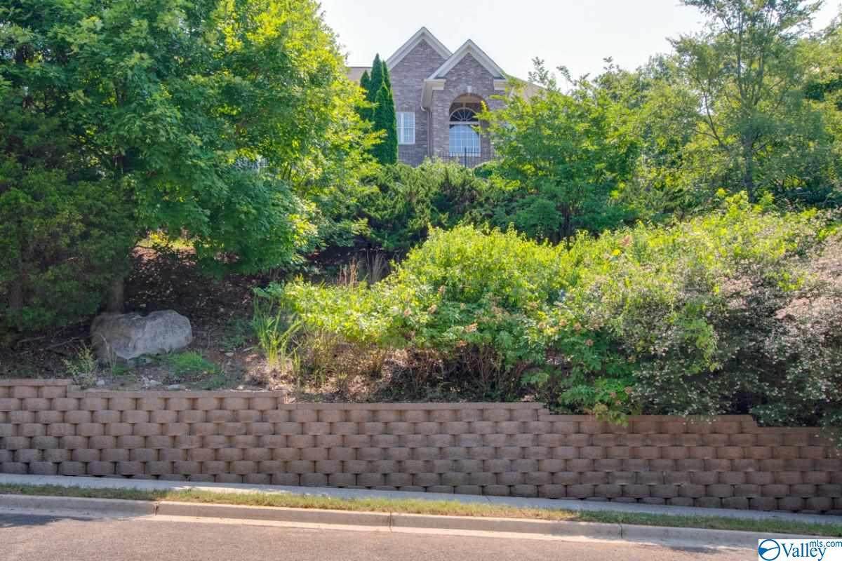 7855 Walsingham Road - Photo 1