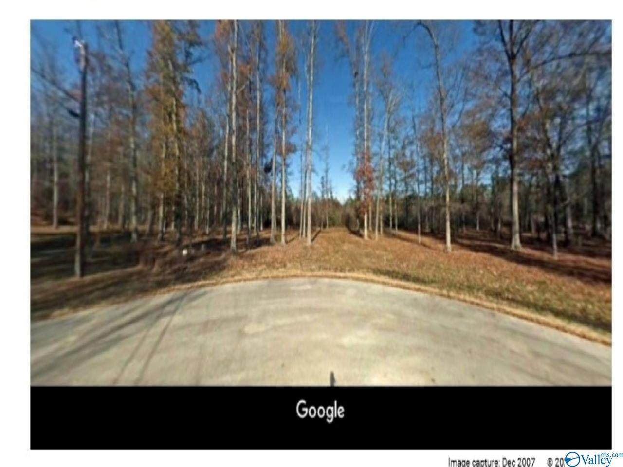 000 Pepper Creek Road - Photo 1