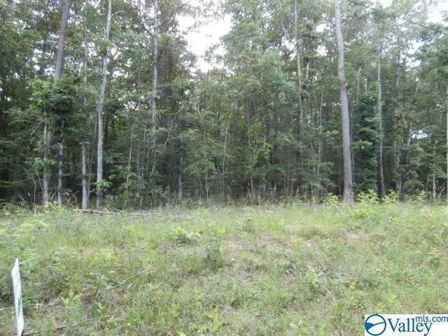 Lot 5 County Road 106 - Photo 1