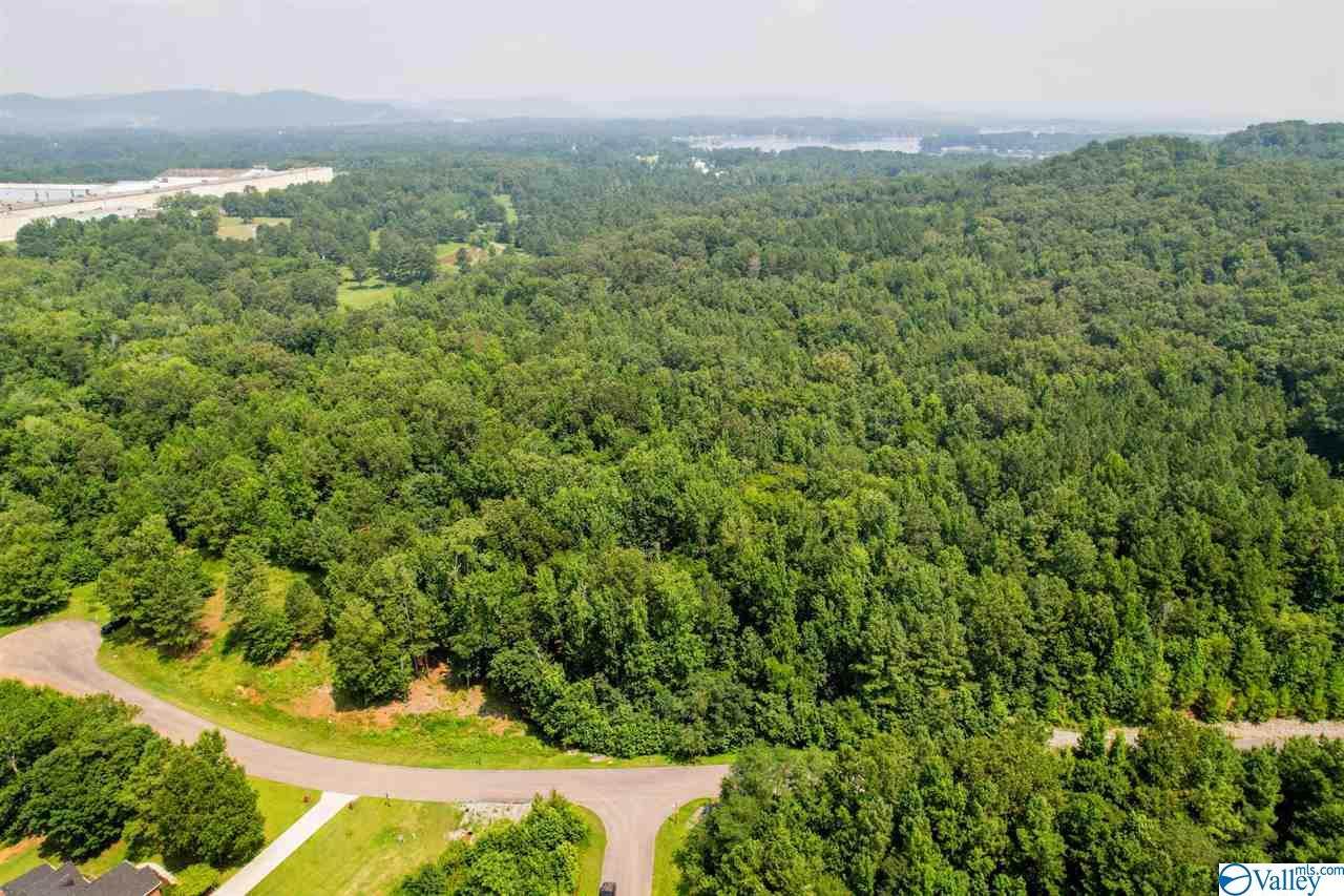 183 Lookout Mountain Drive - Photo 1