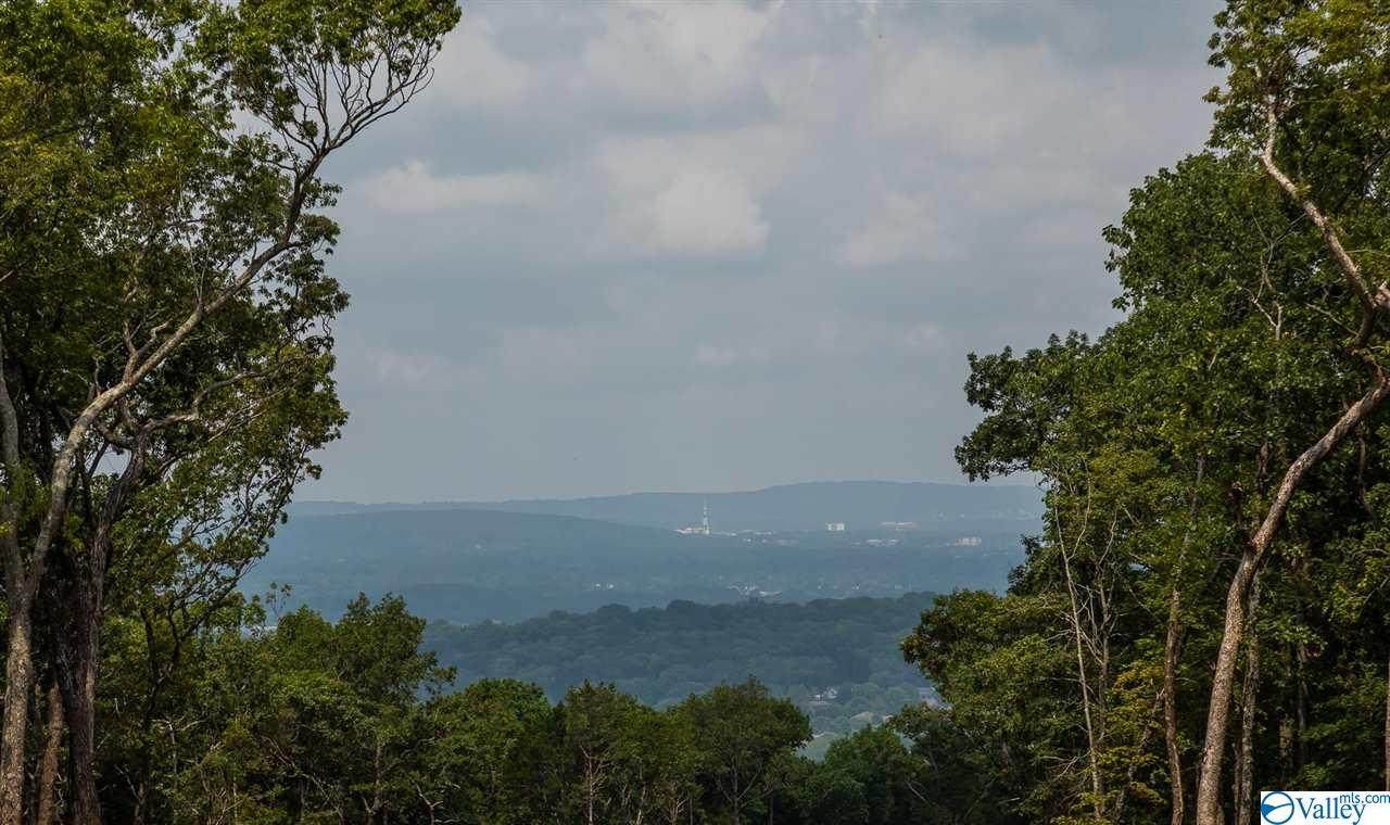 5 South Ridge - Photo 1