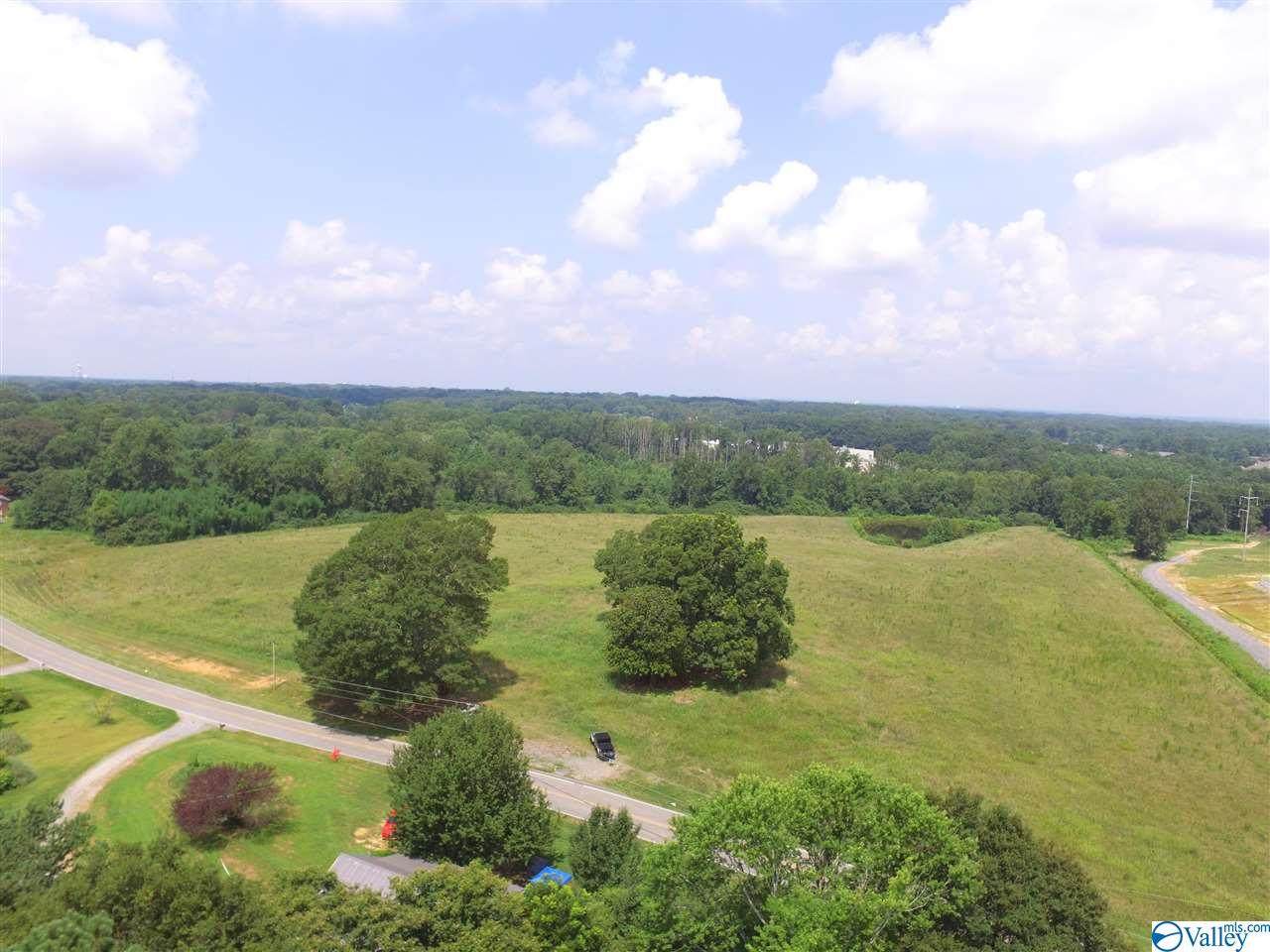 21.75 ac Brashiers Chapel Road - Photo 1