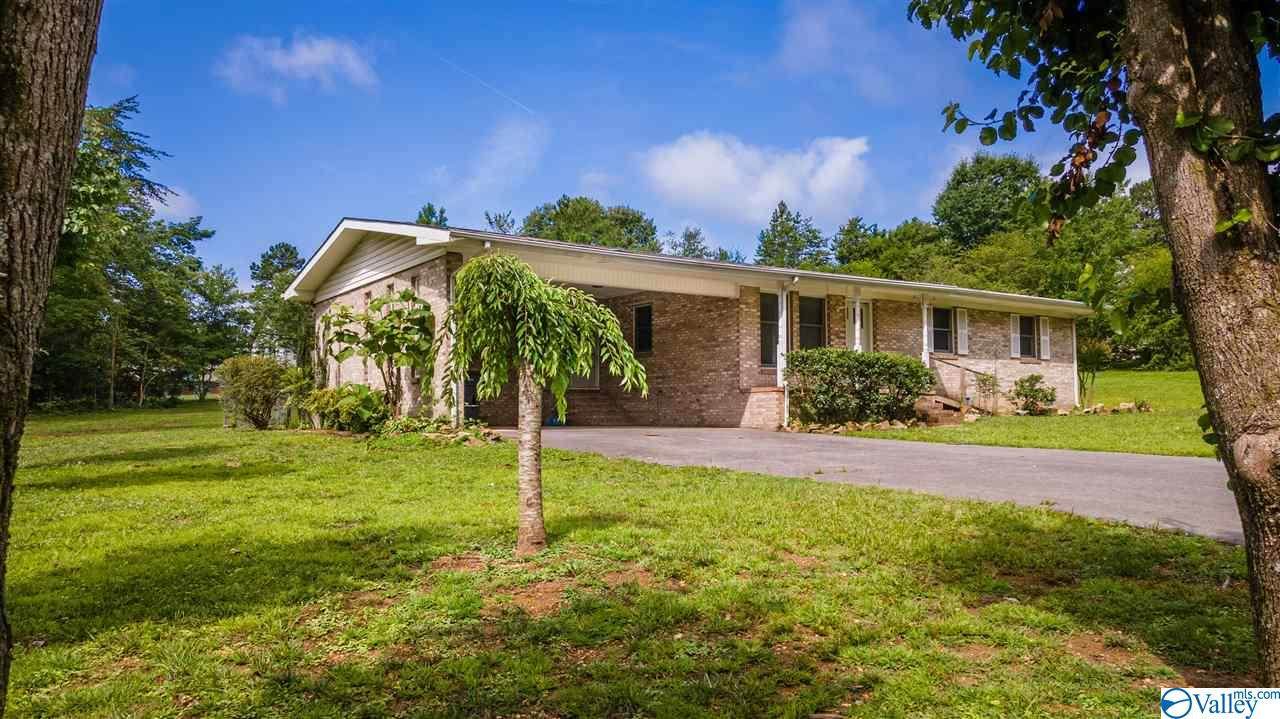 74 Elizabeth Drive - Photo 1