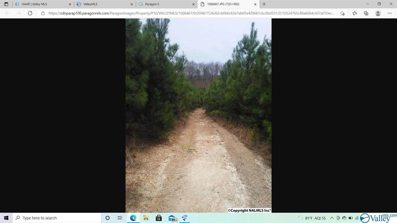0 County Road 261 - Photo 1
