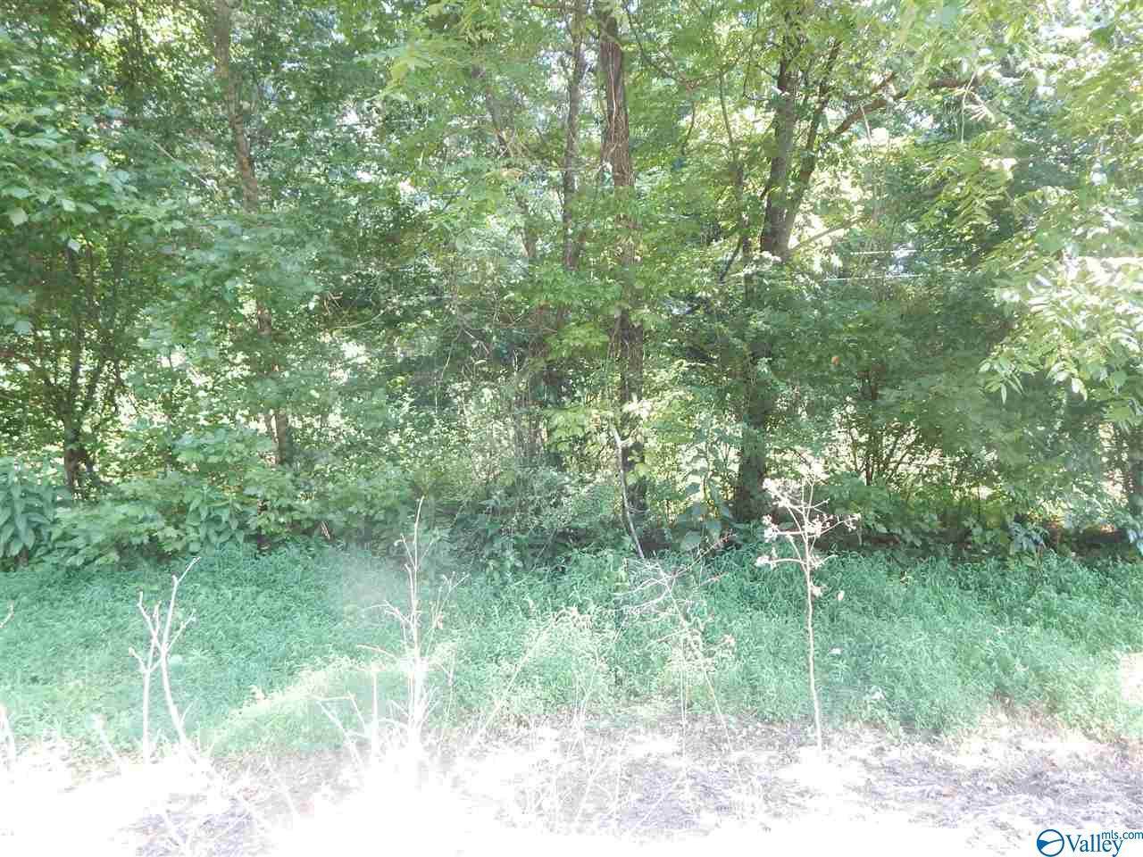 000 Tapscott Road - Photo 1