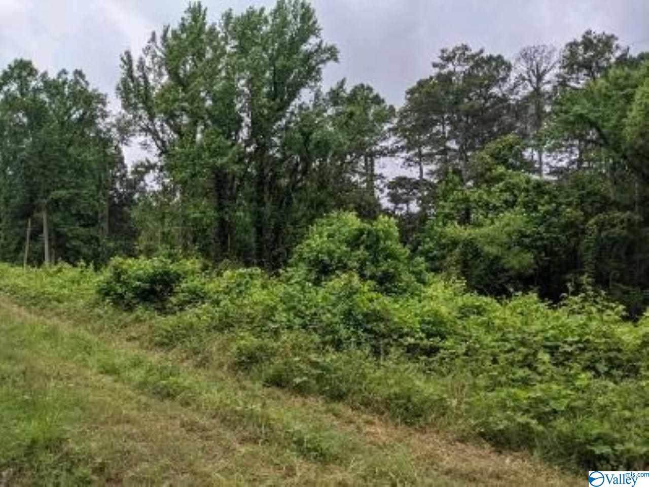 5413 Norris Mill Road - Photo 1