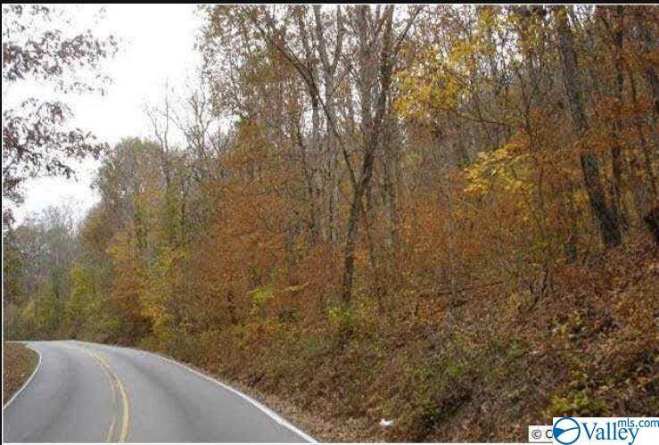 00 Keel Mountain Road - Photo 1
