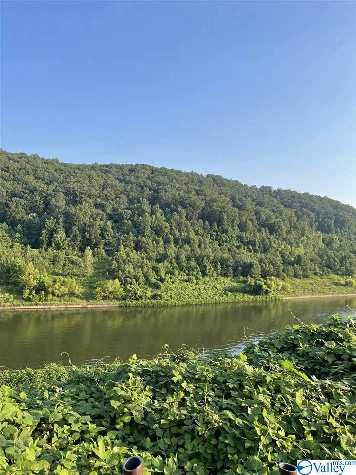 lot142 Colonial Drive - Photo 1