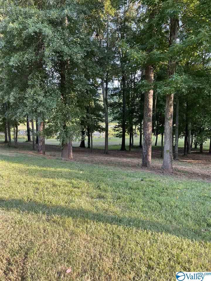 lot 402 Colonial Drive - Photo 1