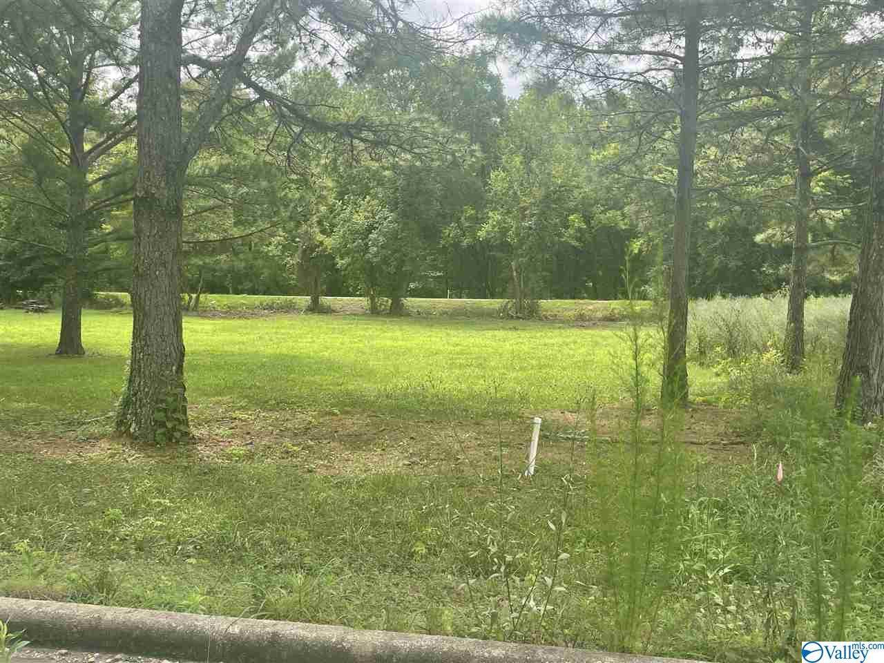 Lot 6 Cade Circle - Photo 1