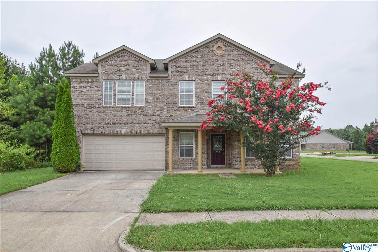 230 Laramie Circle - Photo 1