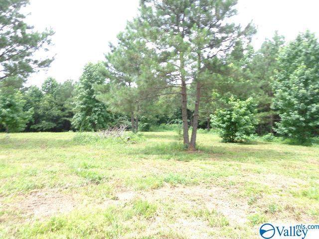0 County Road 3730 - Photo 1