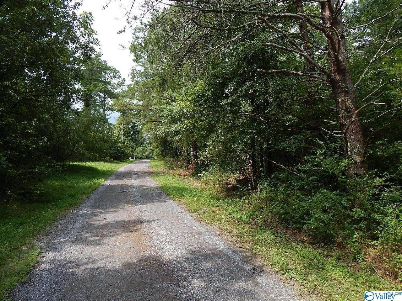 Tract 1 Foster Landing Road - Photo 1