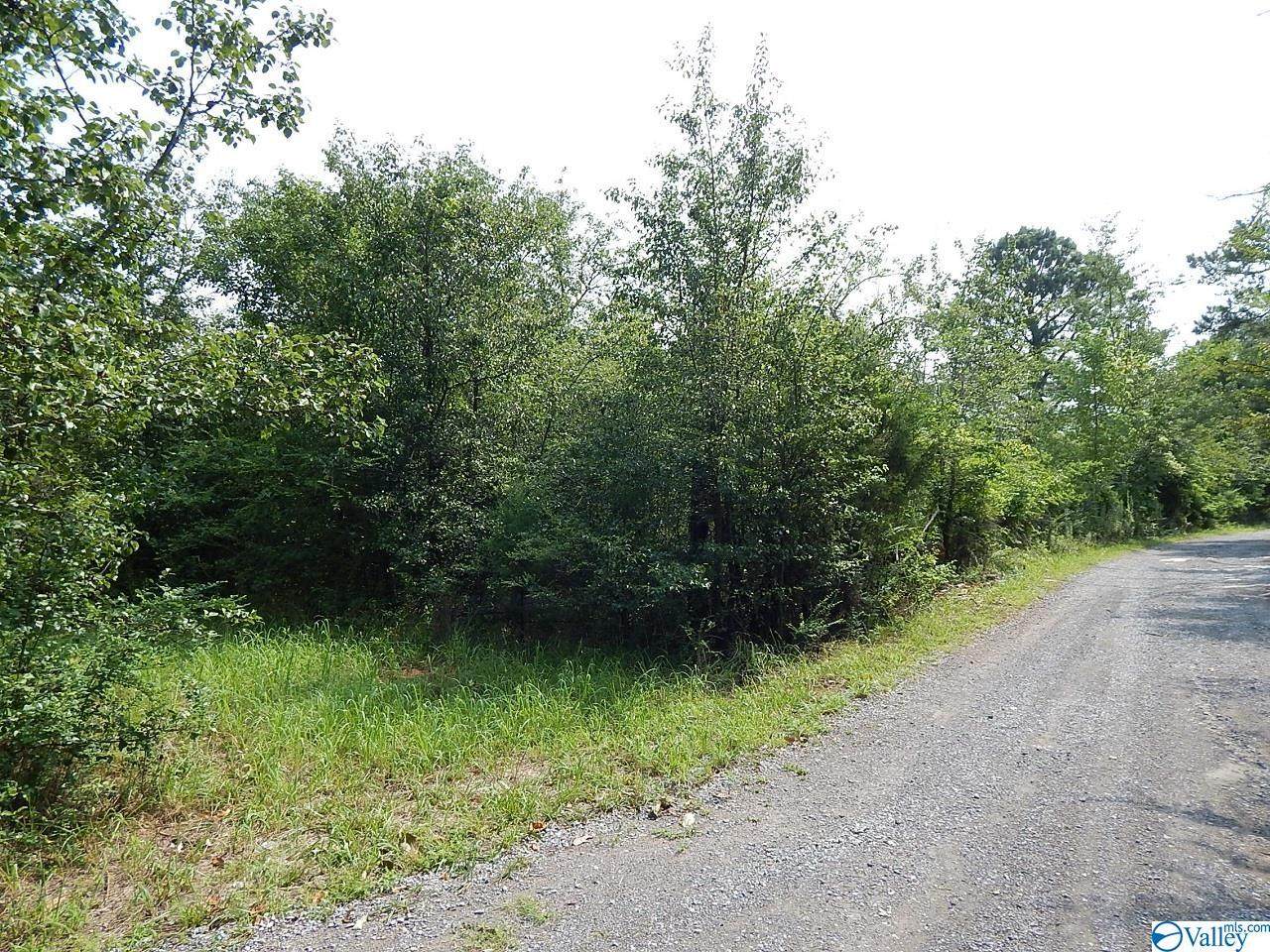 Tract 3 Foster Landing Road - Photo 1