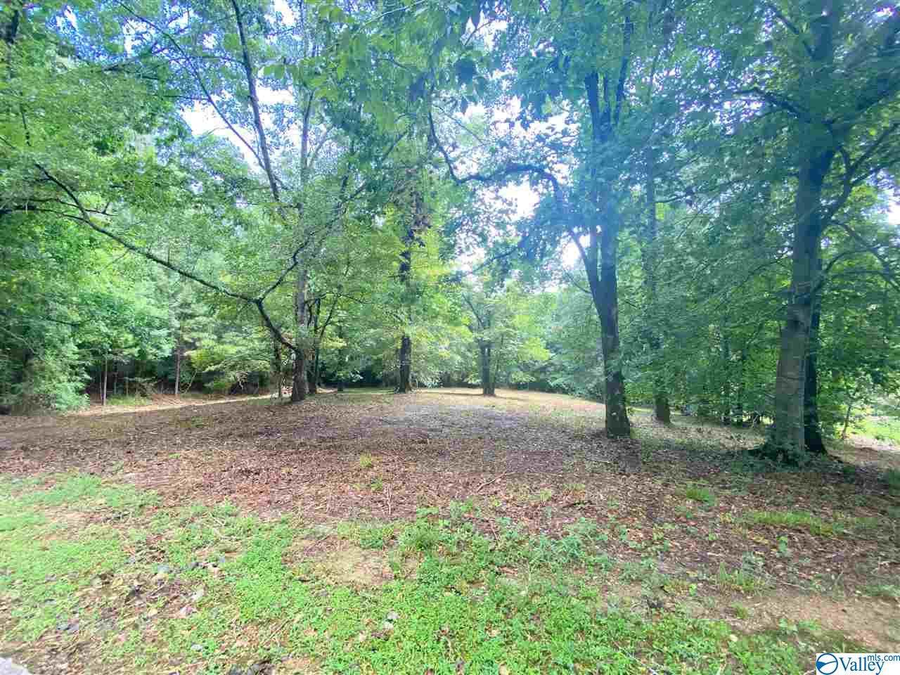 1 Beech Ridge - Photo 1