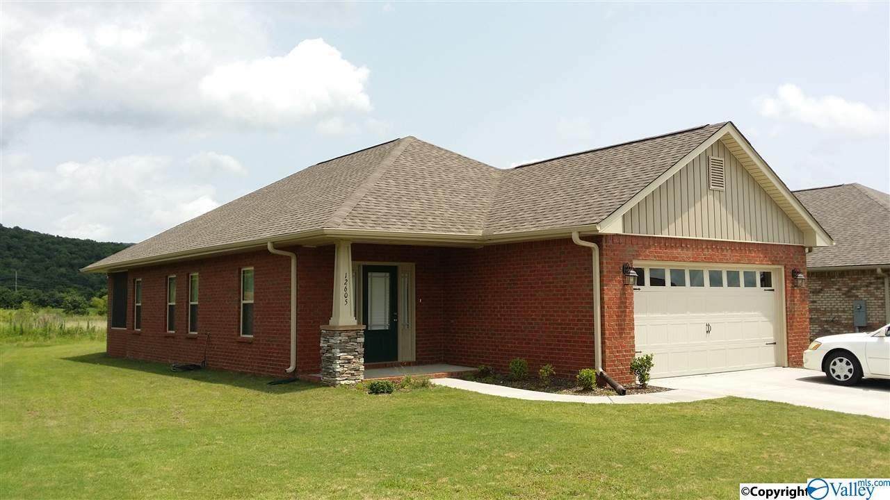 12605 Holstein Lane - Photo 1