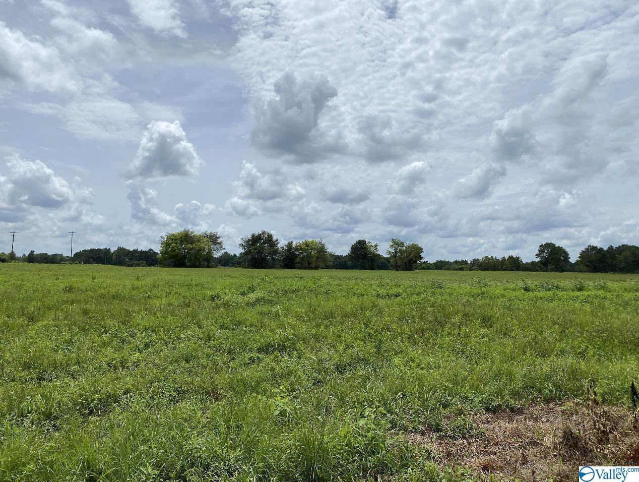302 Reed Road - Photo 1