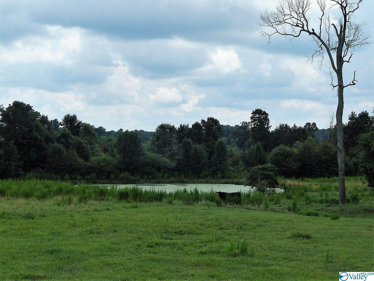 Union Grove Road - Photo 1