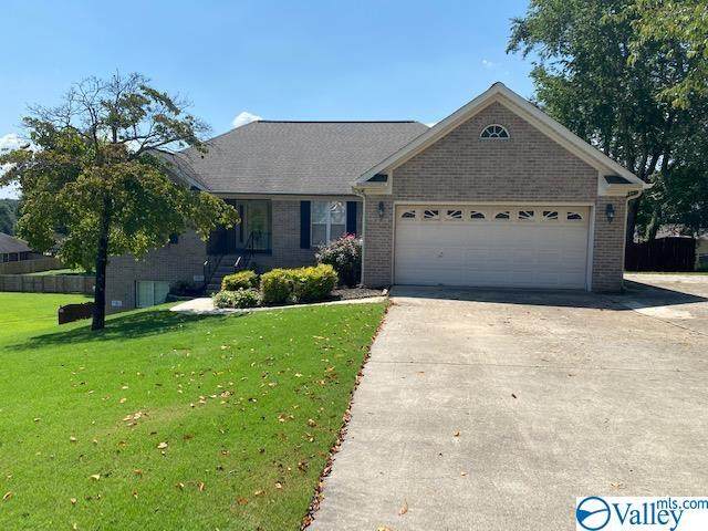 117 Crab Apple Road - Photo 1
