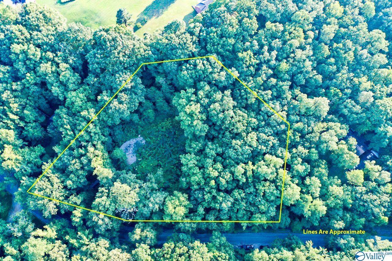 650 County Road 379 - Photo 1